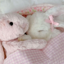 /Bunnies Discord server icon