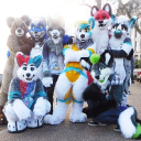 SFS Discord server icon