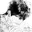 ̲𓈒ֵᩚ ╱ kᨡnɠ 𓈒۫ dj2l ̣̣̥𓏪̣̣