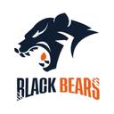 Clan BEARS Discord Server Icon