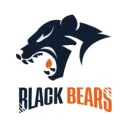 Clan BEARS