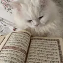pv mubarak #ramadan