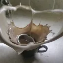 Latte Art Competitive