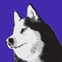 Toca do Wolfe