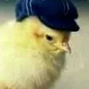 🐤Pinto Blinder🚬