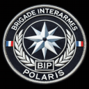 BRIGADE INTERARMES POLARIS - BIP Discord Server Icon