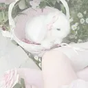 ˗ˋˏ ♡ ˎˊ˗