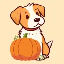 🎃Pumpkin Patch🎃