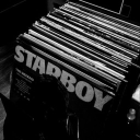 ꨄ єυρнσяια ꨄ