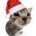 Femboy Haven Discord server icon