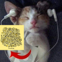 macd3marco's hangout Discord server icon