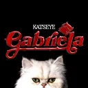 ⋌　　　katze　　　　🍷        #REVAMP