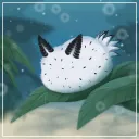 Pooks Coral Reef