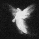 Afterlife