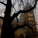 𝐒𝐀𝐁𝐋𝐄𝐖𝐎𝐎𝐃 𝐀𝐂𝐀𝐃𝐄𝐌𝐘. [REVAMP]