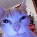 top 10 server Discord server icon