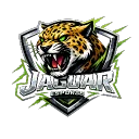 JAGUAR ESPORTS 🇮🇳  • #0.5K