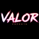 VALOR ESPORTS 🇮🇳  • #0.5K