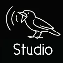 Echo Raven Studio [EN/UA] Discord Server Icon