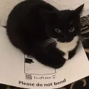 ᴀʀᴏᴜɴᴅ ᴛʜᴇ ᴡᴏʀʟᴅ