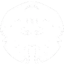 🎨 Gaia Divina ✨ Art ⋆ Whiteboard-fox ⋆ Social ⋆ Magma ⋆ OC ⋆ Spanish ⋆ English