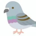 ハトの集い