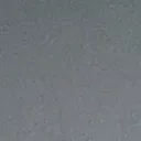 ss