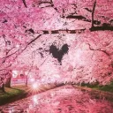 ❀ 𝒮𝒶𝓃𝓇𝒾𝑜 𝐵𝓁𝑜𝓈𝓈𝑜𝓂 𝒞𝒶𝒻𝑒 ❀