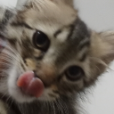 Nerd Cord Discord server icon