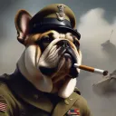 SGT_Bulldawg