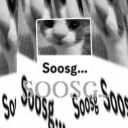 Soosg...