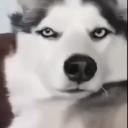 Server Icon
