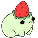 Berry Bunch