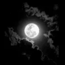 One Moon Family