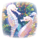 𓎟𓎟   flippers  &  friends   ˳ᴗ ᴗ)