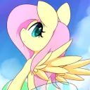 🌸Flutterzone🌸