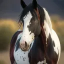 Ffjifjk f Discord server icon