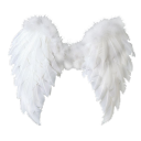 COMPUTER CODED Discord server icon