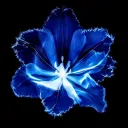 𝙰𝚂𝚃𝚁𝙴𝙰