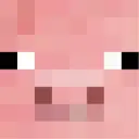 turtle's discord server