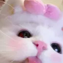 Vương Quốc