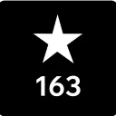 Task Force 163