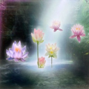 Radiate Discord server icon