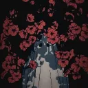 THE SIDEKICKS's icon