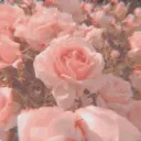 ೀ♡⋆｡˚ Discord server icon