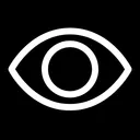 Vision