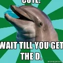 The DRC