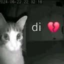The f e m b o y JINXY Zone