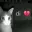 The f e m b o y JINXY Zone