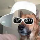 yap void